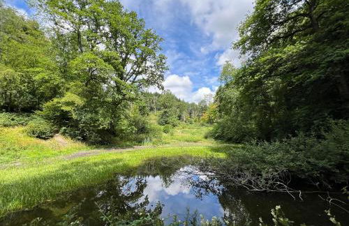 Croft Lodge Studio - Foto 30