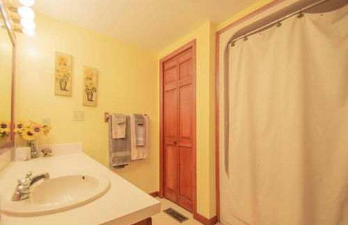 Buffalo River Lodge St Joe AR - Foto 20