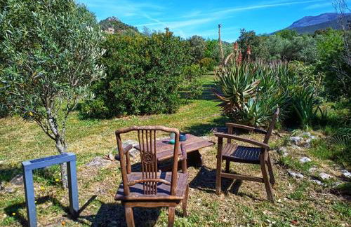 Les jardins de Foata - Foto 41