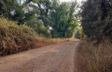 Corteganillas - Foto 22