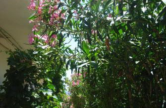 Maria Rooms - Foto 5