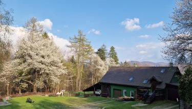 Apartament Buczyna - Foto 2