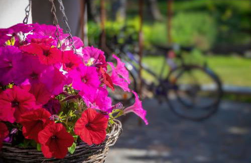 Omalia Apartment - Photo 41