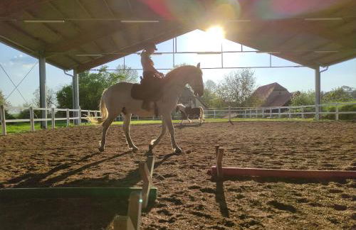 Erdhaus WEST - Ferienhof Bartel - Foto 43