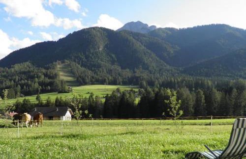 Appartements Burgerhof - Foto 8