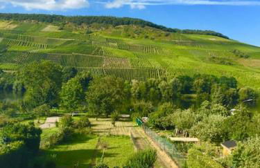Wohnen direkt am Moselstrand - Foto 21