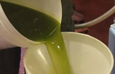 Villa Annetta - Foto 64