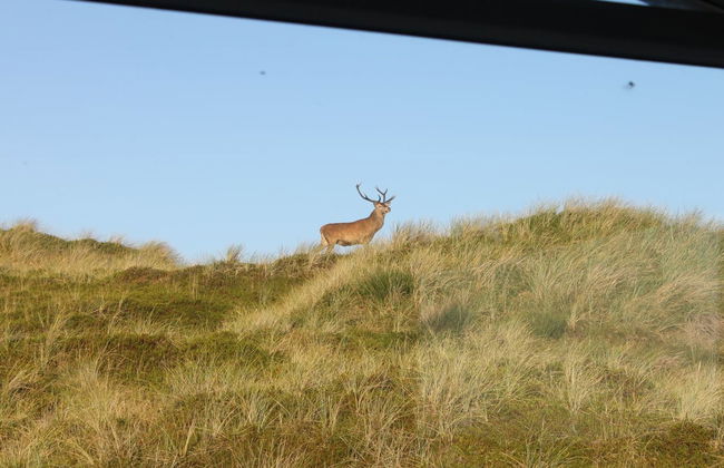 "Hristina" - 200m from the sea - Foto 6