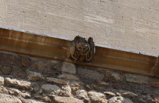 Hinksey Heights - Foto 30