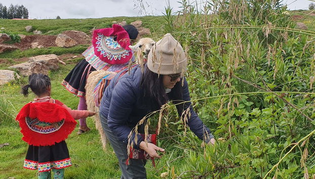 Descubriremos la rica cultura andina