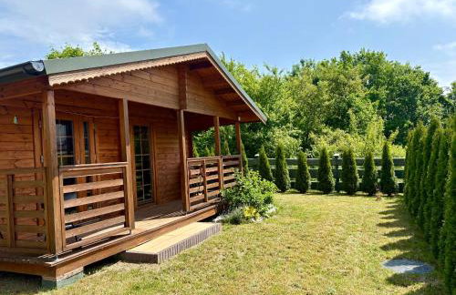 Pod Dziką Jabłonią - Foto 4