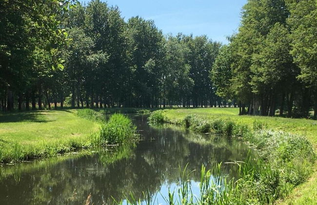 Waldblick Forest Retreat - Foto 22