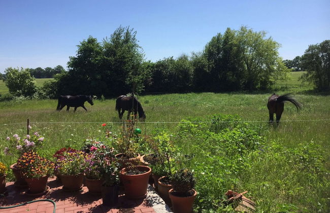 Wohnung in Semlow mit Garten und Terrasse - Foto 21