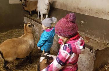 Kastanienhof - Photo 21