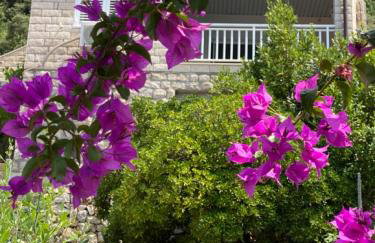 Charming Seafront Stay at Villa Mara - Photo 8