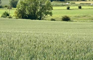 The Swallows Rest, Avebury - Foto 43