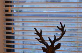 Cedar Lodge 2 ensuite bedroom cottage near Bath - Foto 8