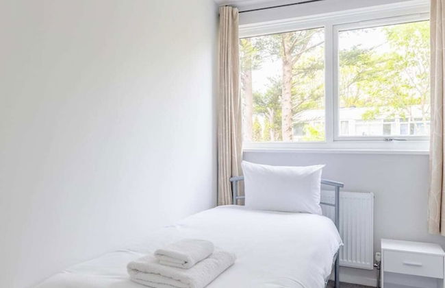 Newly Renovated 3BD Home, Islington! - Foto 13