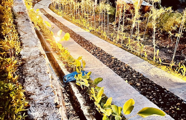 DnG Mansions - Foto 16