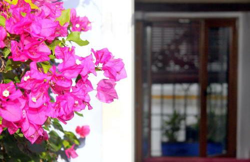 El patio azul Bohemio Mágico - Foto 36