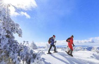 Gite l'Or des Cévennes - Foto 31