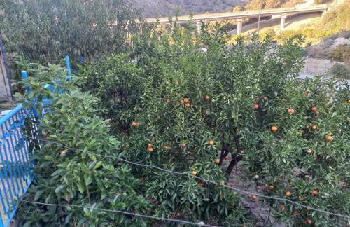 Casa a Murrotto - Foto 9