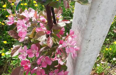 Agritur Rizzi di Inama Ugo - Foto 47