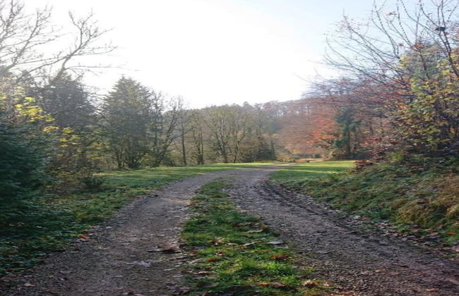 Chalet in Germany With Fireplace & Terrace - Photo 32