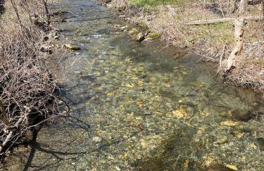 Cozy stream-side cabin - Foto 24