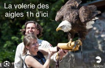 Grand appartement au cœur de la région alsacienne - Photo 65