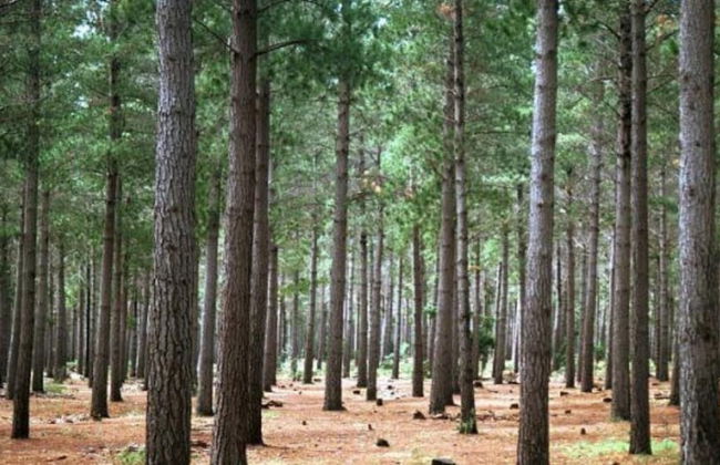 Immaculate 2-bed Apartment in Cape Town - Foto 11