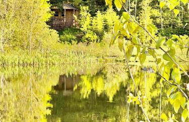Cozy Off-Grid Cabin with Breathtaking Serene Views for a Peaceful Getaway Surrounded by Nature in Barton, Vermont - Foto 8