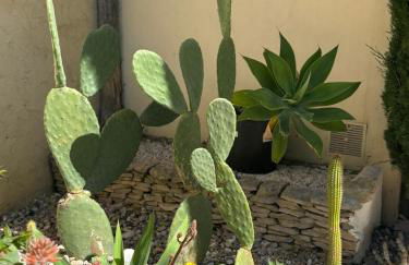 Logement cosy avec piscine ,parking et jardin - Photo 8