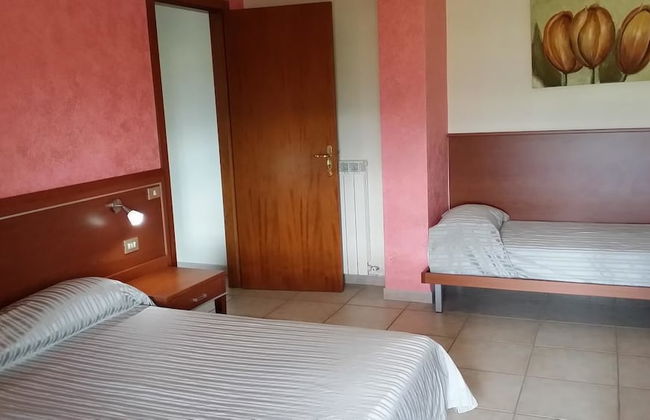 Il Tulipano - Foto 3