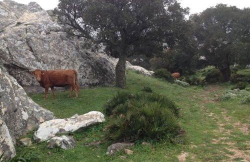Apartamento Triana l Bolonia, Tarifa - Foto 31