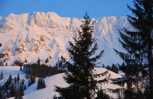 Fewo Heitmann - Foto 12