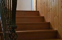 Lazy bear - Foto 28