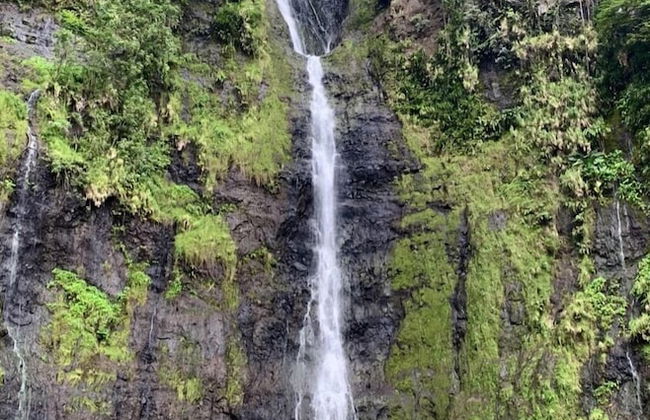 Bounty Lodge - Photo 66