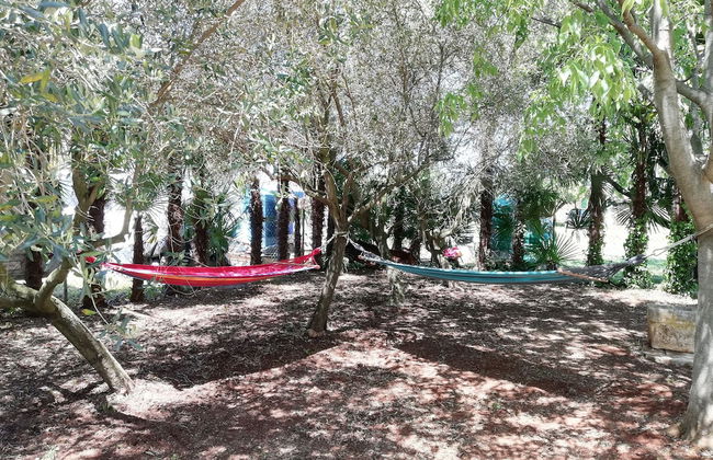 Villa Valeta 500 Meters From the Beach - Photo 40