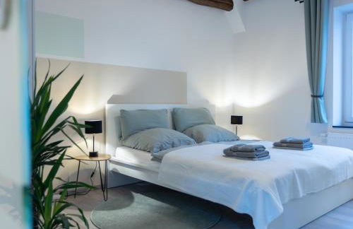 Stilvolle Wohnung in Aachen Brand mit Terrasse - Foto 1