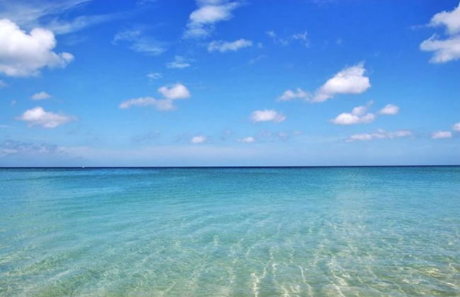 COCO Chalong 2 Bedrooms New Villa - Photo 21