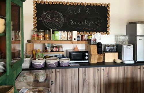 Agriturismo il Podere Vedelago con San Bernardo, Alpaca e una Pentola di cose da scoprire - Foto 22