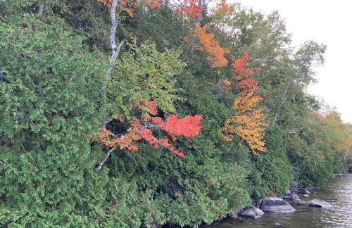 Hidden Gem on Golden Pond - Foto 32