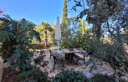 Apartmani Ljubica - Foto 2