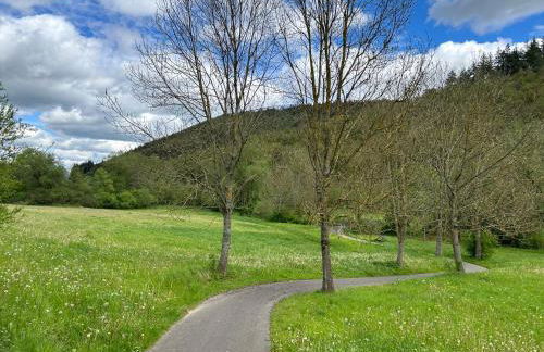 Wellness-Ferienhaus mit Dampfbad & Sauna am Nürburgring - Foto 32