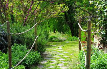 La Colombara - Fra i colli a 5 minuti dall'autodromo - Foto 33