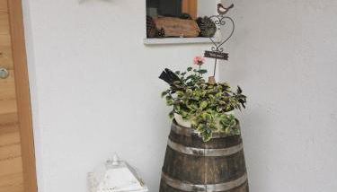 Maso Tofolaci - Foto 5