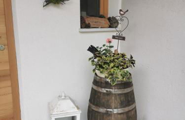 Maso Tofolaci - Foto 5