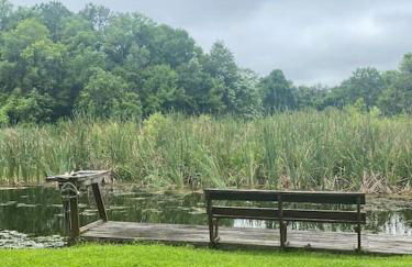 Professor Rousseau's Manatee Bay - Foto 30