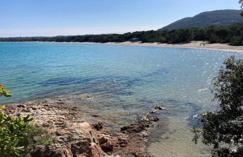 Villa de bord de plage - Foto 32